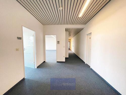 Foto - andere in Erlangen