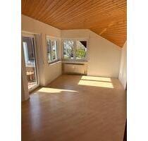 Helle 2,5 Zimmer Wohnung (ca. 100 qm) mit Balkon in Ulm-Einsingen