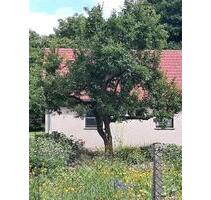 Haus Hof großes Grundstück Selbstversorger - Eldetal