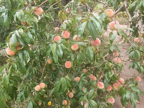 Foto - Einfamilienhaus in Eldetal
