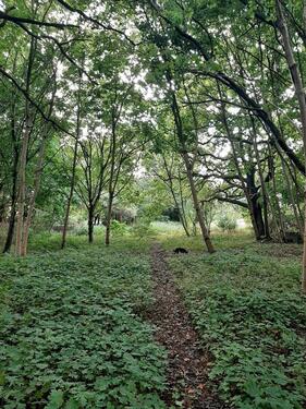 Foto - Einfamilienhaus in Eldetal zum Kaufen