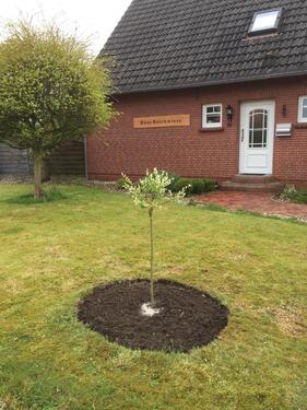Foto - Urlaub für die ganze Familie in Haus Deichwiese (Norddeich)