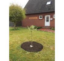 Urlaub für die ganze Familie in Haus Deichwiese (Norddeich) - Norden