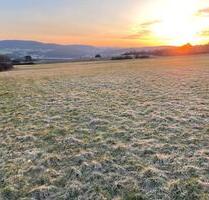 Wiese in Katzenfurt bei Wetzlar - Ehringshausen