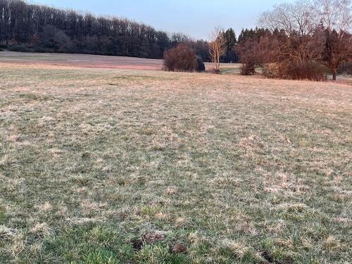 Foto - Grundst&uuml;ck zur Miete in Ehringshausen