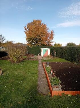 Foto - Grundst&uuml;ck in Neuhardenberg zur Miete