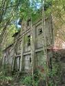 Foto - Einfamilienhaus in Glauchau