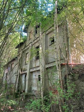Foto - Einfamilienhaus in Glauchau