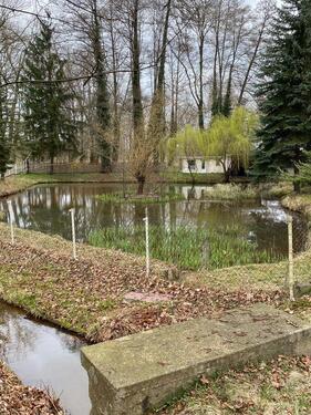 Foto - 5 Zimmer Bungalow zum Kaufen in Forst (Lausitz)