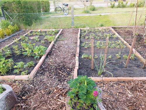 Foto - Grundst&uuml;ck zur Miete in Rathenow