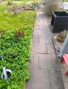Foto - Grundst&uuml;ck in Kassel zur Miete