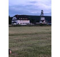 Eine freistehende Villa (ehemaliges Gästehaus) - Krayenberggemeinde