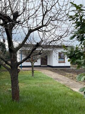 Foto - Grundst&uuml;ck zur Miete in Spremberg