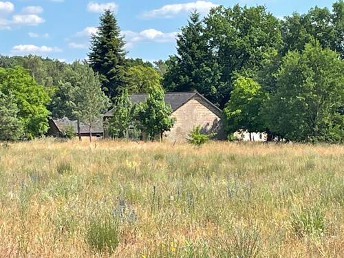 Foto - Haus mit grossem Grundstück im Grünen