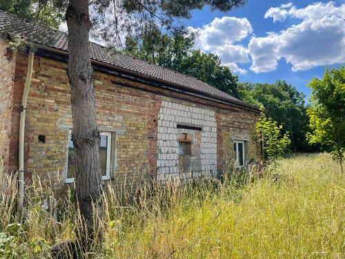 Foto - Einfamilienhaus in Görzke zum Kaufen