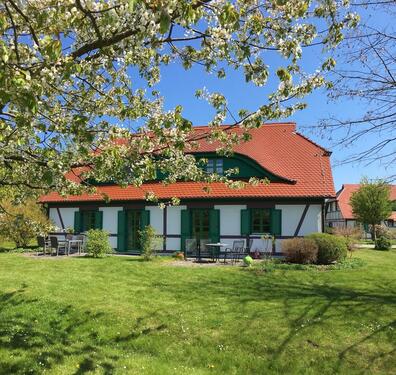Foto - Fehmarn oder Rügen ❤️ ? 3 tolle Ferienwohnungen am Meer Hund