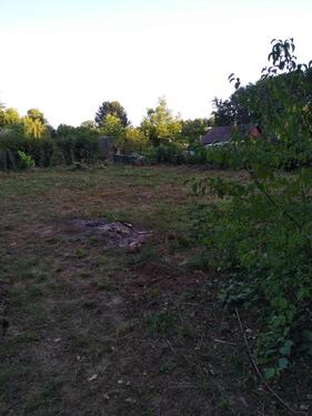 Foto - Einfamilienhaus in Renningen zum Kaufen