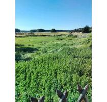 Vierseithof - 800.000,00&nbsp;EUR Kaufpreis, ca.&nbsp; 500,00&nbsp;m&sup2; in Nuthe-Urstromtal (PLZ: 14947)