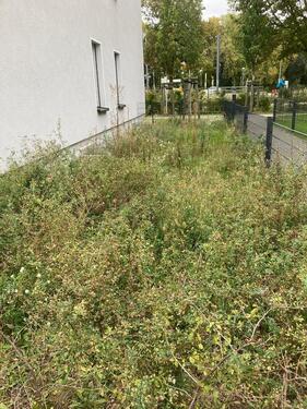 Foto - 2 Zimmer Erdgeschoßwohnung zum Kaufen in Berlin