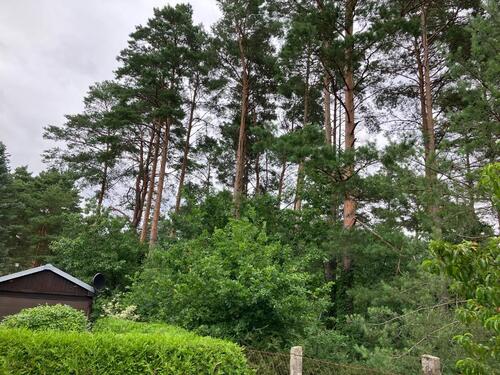 Foto - Grundst&uuml;ck in Erkner zur Miete