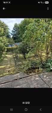 Foto - Kleingarten abzugeben - 1.800,00 EUR Kaltmiete, ca.  0,00 m²