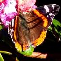 Foto - Grundstück in Broderstorf