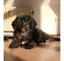 Penthauswohnung - 235.000,00&nbsp;EUR Kaufpreis, ca.&nbsp; 72,00&nbsp;m&sup2; in Bayreuth (PLZ: 95444) City