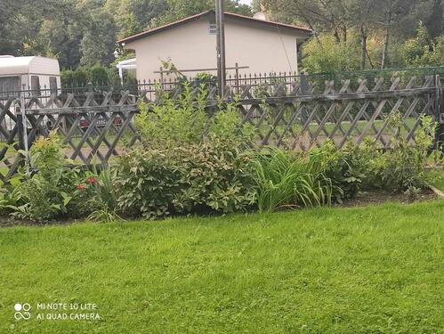 Foto - Grundst&uuml;ck zur Miete in Golßen