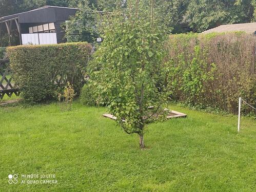 Foto - Grundst&uuml;ck in Golßen