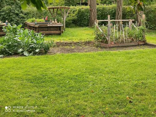 Foto - Grundst&uuml;ck in Golßen zur Miete