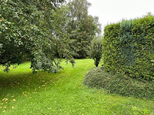 Foto - 1 Zimmer Etagenwohnung in Stadlern