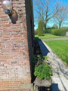 Foto - 2 Zimmer Etagenwohnung zur Miete in Rabenkirchen-Faulück