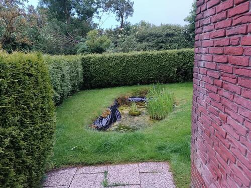 Foto - 2 Zimmer Etagenwohnung in Rabenkirchen-Faulück