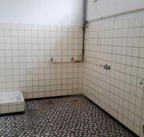 Kelleraum Kelsterbach zu vermieten ca.