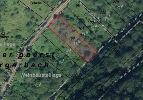 Foto - Weinbergsteillage in Reil (HLO 81-2)