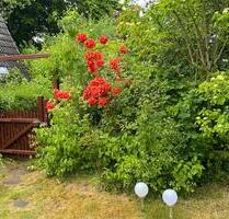 Parzelle auf Pachtgrundstück in Bremen Kattenturm - Stuhr