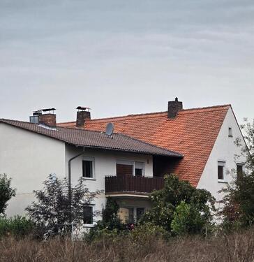 Foto - Zweifamilienhaus saniert - eine Ruheoase für die ganze Familie