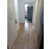 Sanierte 2 Zimmerwohnung in Ludwigshafen - Ludwigshafen am Rhein Parkinsel