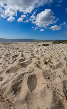 Foto - Fewo in Rysum.Nah am WeltnaturerbeWatt,Deich,Nordsee