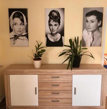 Foto - andere in Bayerisch Eisenstein