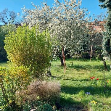 Foto - 4 Zimmer Einfamilienhaus in Gröningen