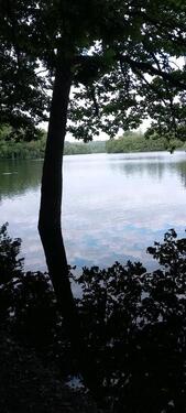 Foto - Einfamilienhaus in Marienheide