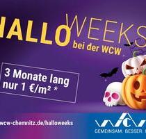 Lebe Deinen Raum² - 3 Raumwohnung mit Aufzug - Chemnitz Kapellenberg