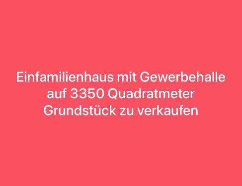 Foto - Großes Einfamilienhaus mit Gewerbehalle zu verkaufen