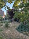 Foto - 8 Zimmer Einfamilienhaus zum Kaufen in Potsdam