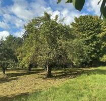 Freizeitgartengrundstück Kapitalanlage zw. Stuttgart Esslingen - Esslingen am Neckar Brühl