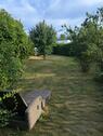 Foto - 4 Zimmer Einfamilienhaus zum Kaufen in Seelow