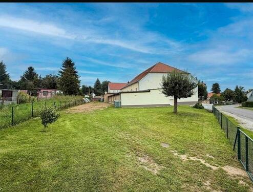 Foto - Einfamilienhaus zum Kaufen in Elsteraue