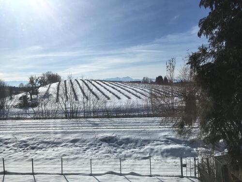 Foto - 2 Zimmer Etagenwohnung in Sigmarszell