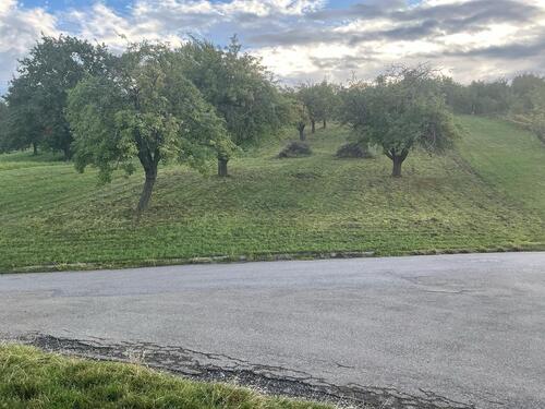 Foto - Freizeitgrundstück Gartengrundstück Stuttgart Esslingen Sonnenlag